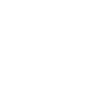 Wire Brush Wheel